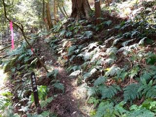 番場城の登城記録(くーさん)