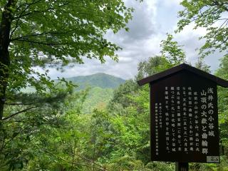 虎御前山城の登城記録(くーさん)