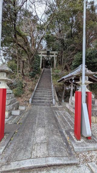 虎御前山城の登城記録(ニャン川さん)