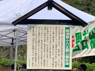 蜂須賀城の登城記録(くーさん)