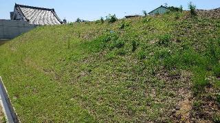 丹下砦の登城記録(オカドンさん)