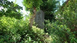 中島砦の登城記録(オカドンさん)