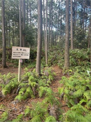 立岡城の登城記録(かのんさん)