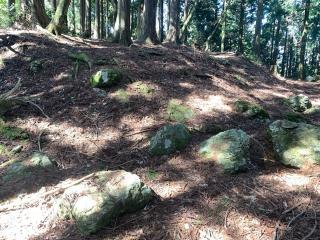 八講師城の登城記録(くーさん)