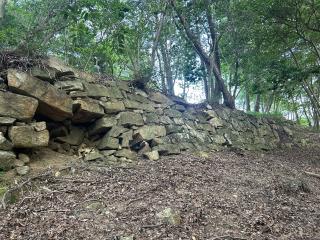 星ヶ崎城の登城記録(かのんさん)