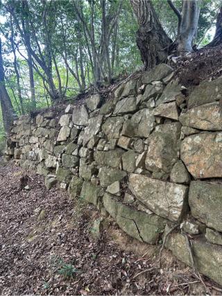 星ヶ崎城の登城記録(かのんさん)