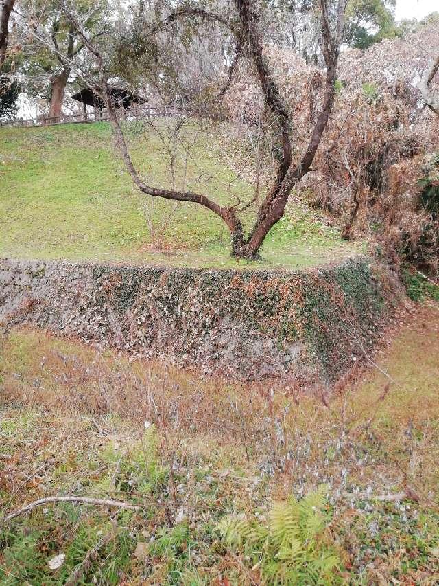 熊本県宇土市神馬町２８０ 近世宇土城の写真3