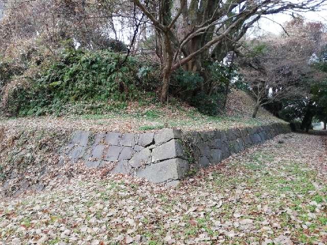 熊本県宇土市神馬町２８０ 近世宇土城の写真4