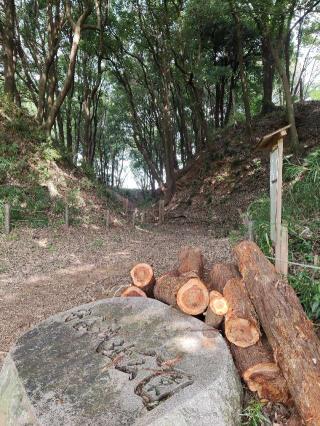 守谷城の登城記録(マリリさん)