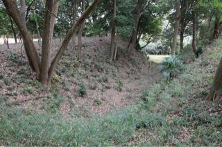 守谷城の登城記録(こにーさん)