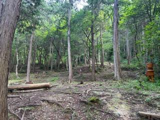 大森城の登城記録(かのんさん)