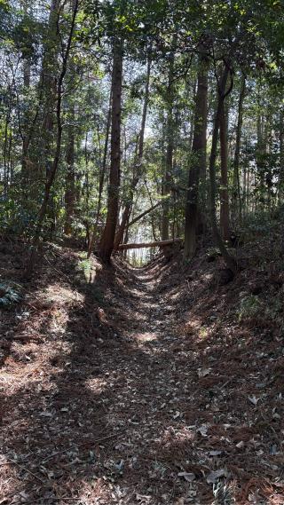 馴馬城の登城記録(みねさん)