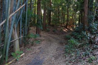 馴馬城の登城記録(こにーさん)