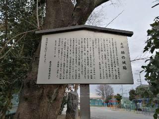 柏の城（志木館・引又館、柏ノ城）の登城記録(けいいちさん)