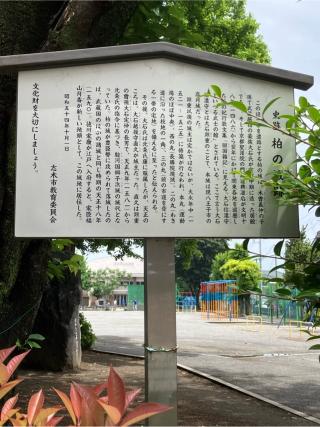 柏の城（志木館・引又館、柏ノ城）の登城記録(監督さん)