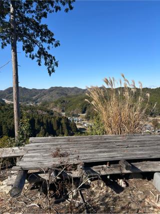 埴生城の登城記録(かのんさん)