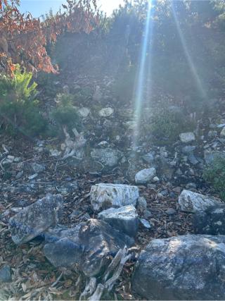 埴生城の登城記録(かのんさん)