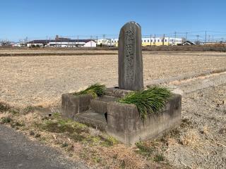 陸田城の登城記録(くーさん)