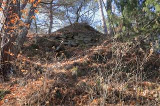 米山城の登城記録(こにーさん)