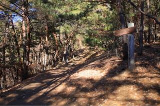 米山城の登城記録(こにーさん)