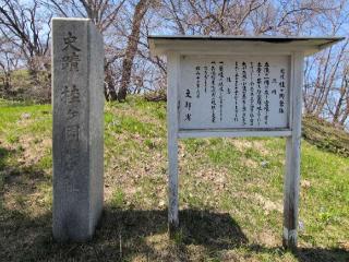 桂ヶ岡砦の登城記録(ケムパパさん)