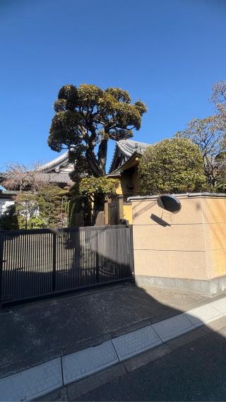 葛西清重館の登城記録(みねさん)