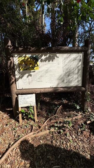 高井城の登城記録(みねさん)