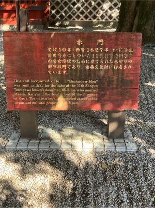 本郷城の登城記録(監督さん)