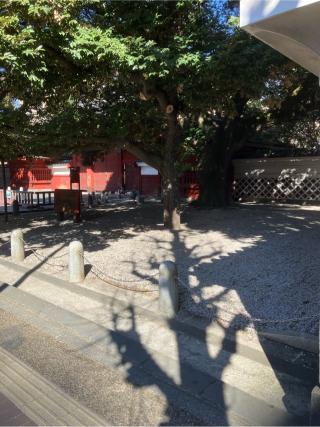 本郷城の登城記録(監督さん)