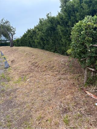 大木城の登城記録(こにーさん)