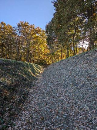 飛山城の登城記録(クラスティさん)
