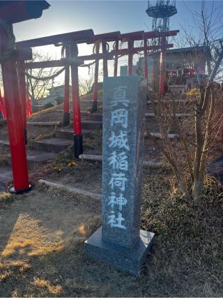 真岡城の登城記録(やさかさん)