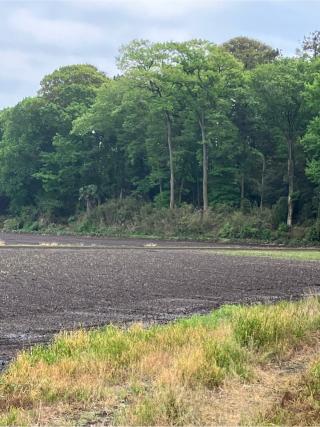 多功城の登城記録(監督さん)