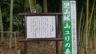 児山城の登城記録(ひろ神社仏閣さん)