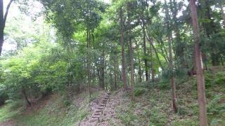 児山城の登城記録(ひろ神社仏閣さん)