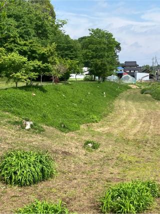 児山城の登城記録(監督さん)