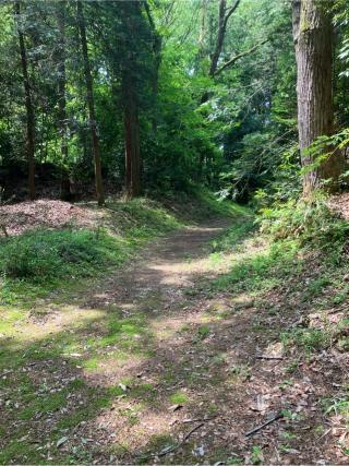 児山城の登城記録(監督さん)