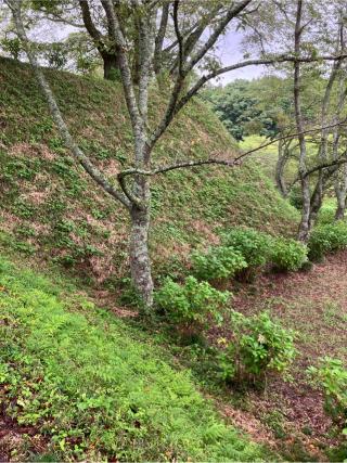 茂木城の登城記録(監督さん)