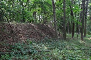 田口城の登城記録(こにーさん)