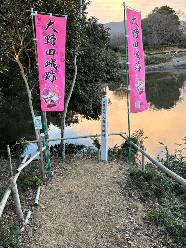 愛知県新城市野田幹徳 大野田城の写真1