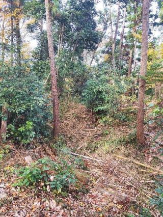 戸吹城の登城記録(マリリさん)