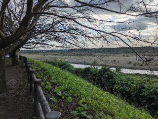 勝山城の登城記録(クラスティさん)