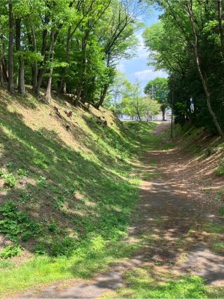 勝山城の登城記録(監督さん)