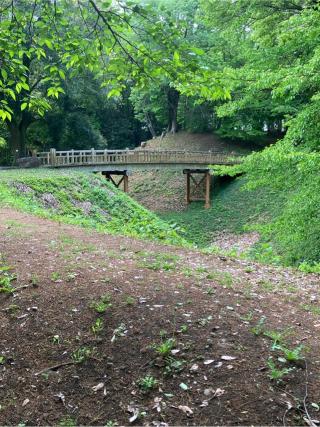 勝山城の登城記録(監督さん)