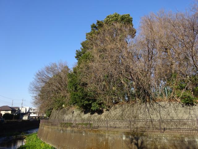 東京都三鷹市新川２丁目５−３８ 天神山城の写真1