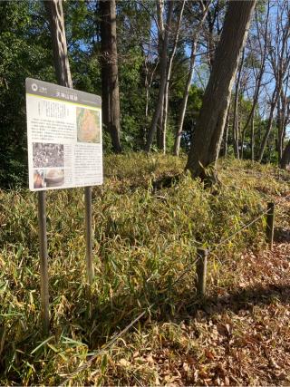 天神山城の登城記録(監督さん)