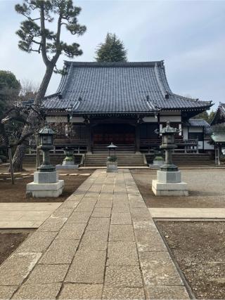 喜多見城（喜多見氏館、喜多見陣屋、喜多見屋敷）の登城記録(監督さん)