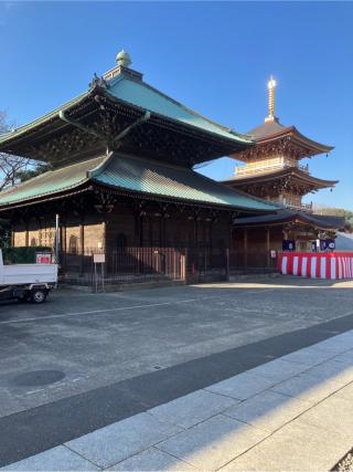 池上氏館の登城記録(監督さん)