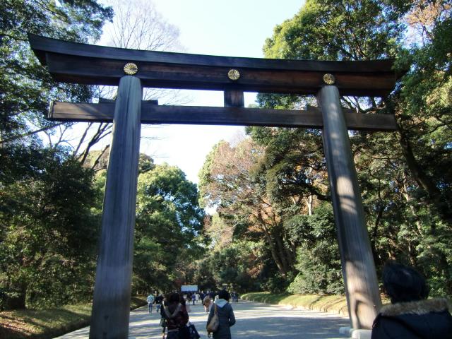 東京都渋谷区代々木神園町１ 井伊氏屋敷（彦根藩下屋敷）の写真1