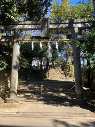 道灌山の登城記録(監督さん)